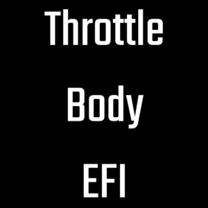 - Throttle Body EFI