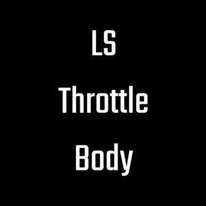 LS Throttle Body